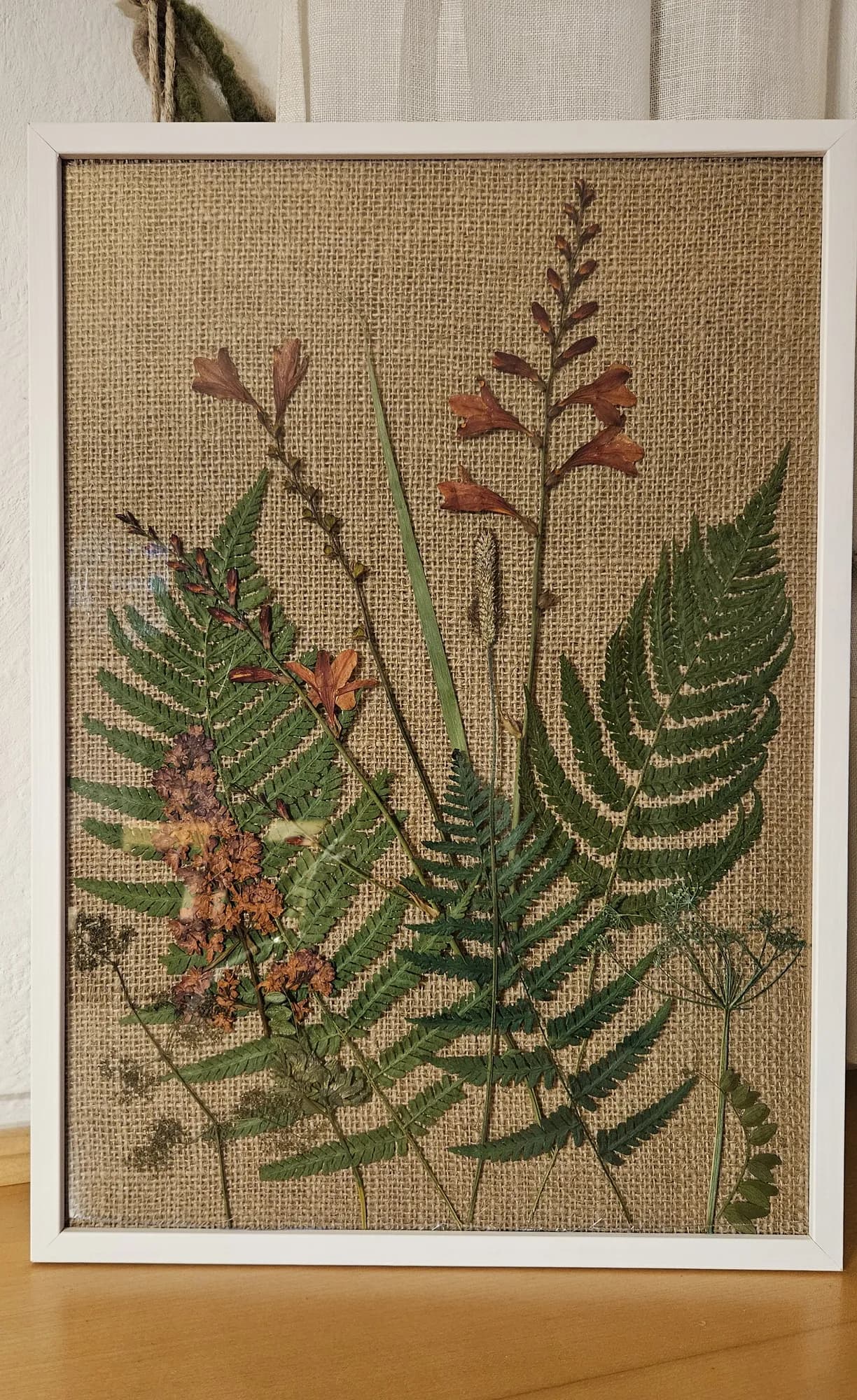 Trockenblumenbild mit Farnwedeln und korallenroten Blüten auf Jute in einem weißen Rahmen