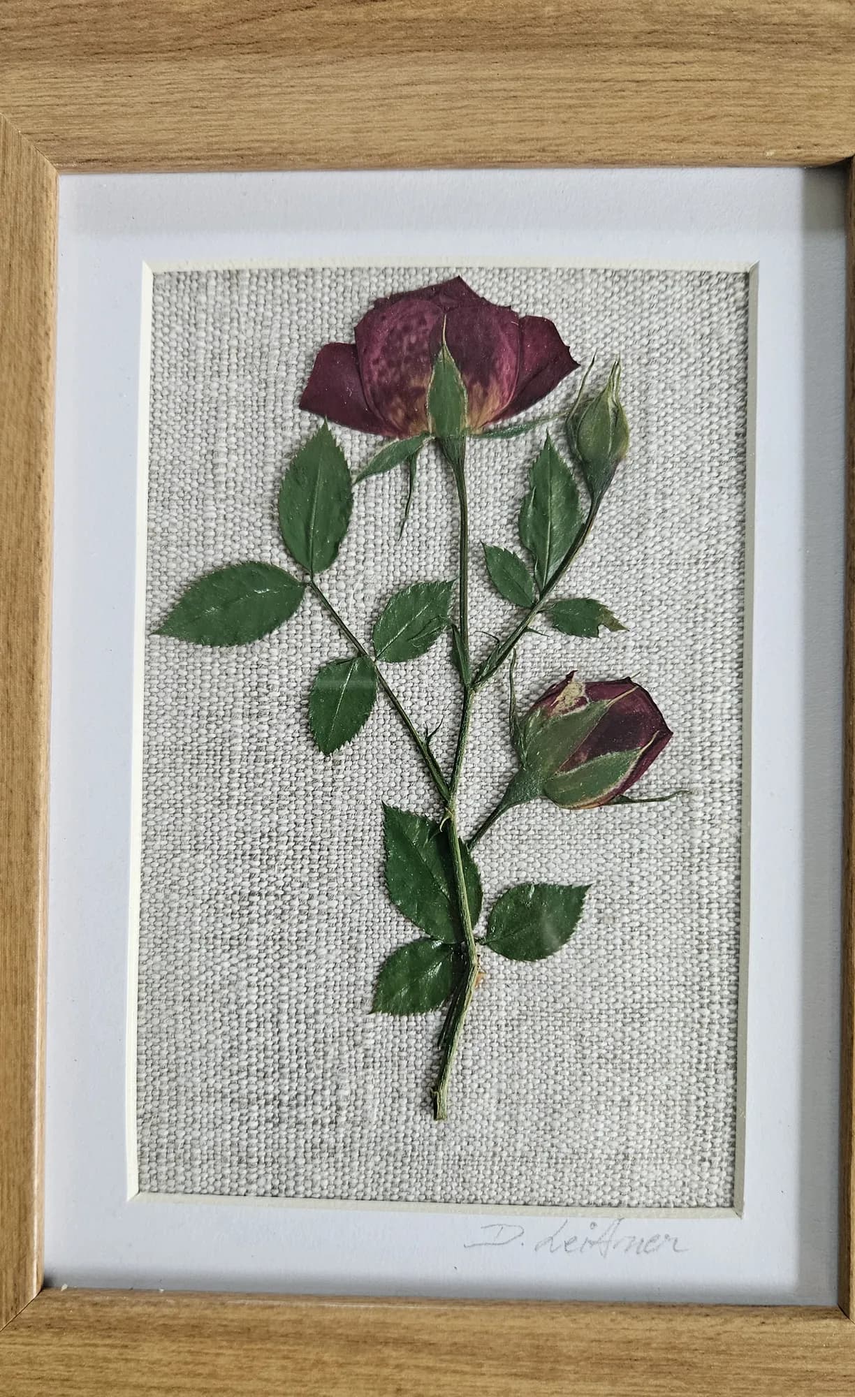 Gerahmtes Bild einer gepressten roten Rose mit Knospe und grünen Blättern auf Leinen